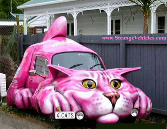 Anhang ID 8013 - funny-cat-car-mobilersthr6yt.jpg